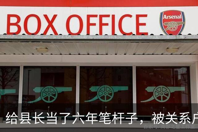 给县长当了六年笔杆子，被关系户顶替调去档案馆，县长开会时怒了